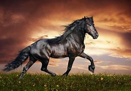 horse, a horse, my kingdom for a horse